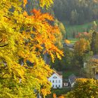 Herbst in Oybin- Zittauer Gebirge