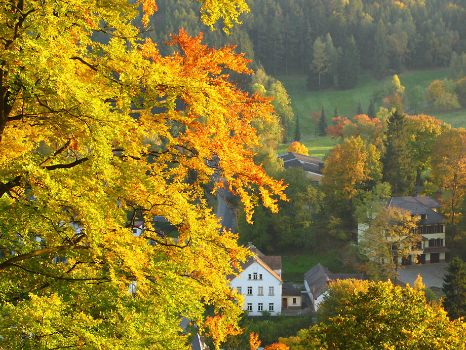 Herbst in Oybin- Zittauer Gebirge