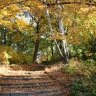 Herbst in Pankow