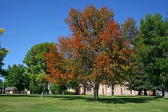 Herbst in Paris (USA)