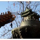 Herbst in Peking