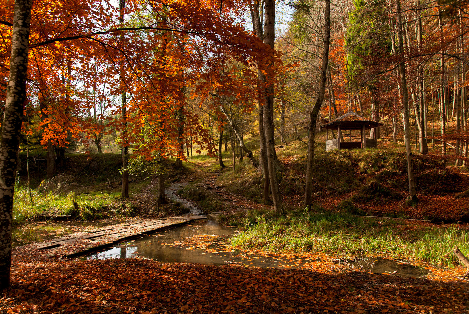 Herbst in Perfektion