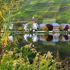 Herbst in Piesport