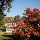 Herbst in Pillnitz