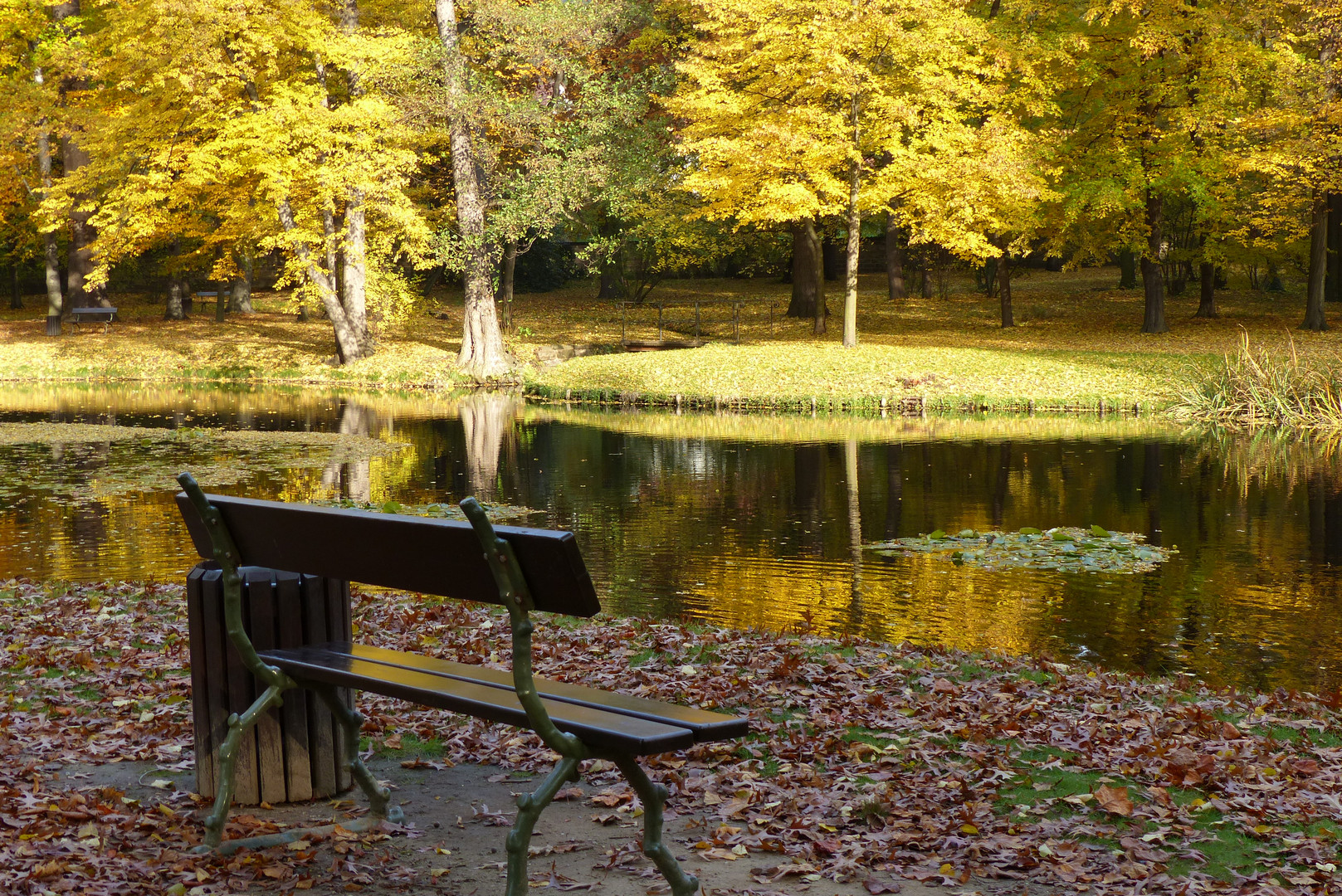 Herbst in Pillnitz