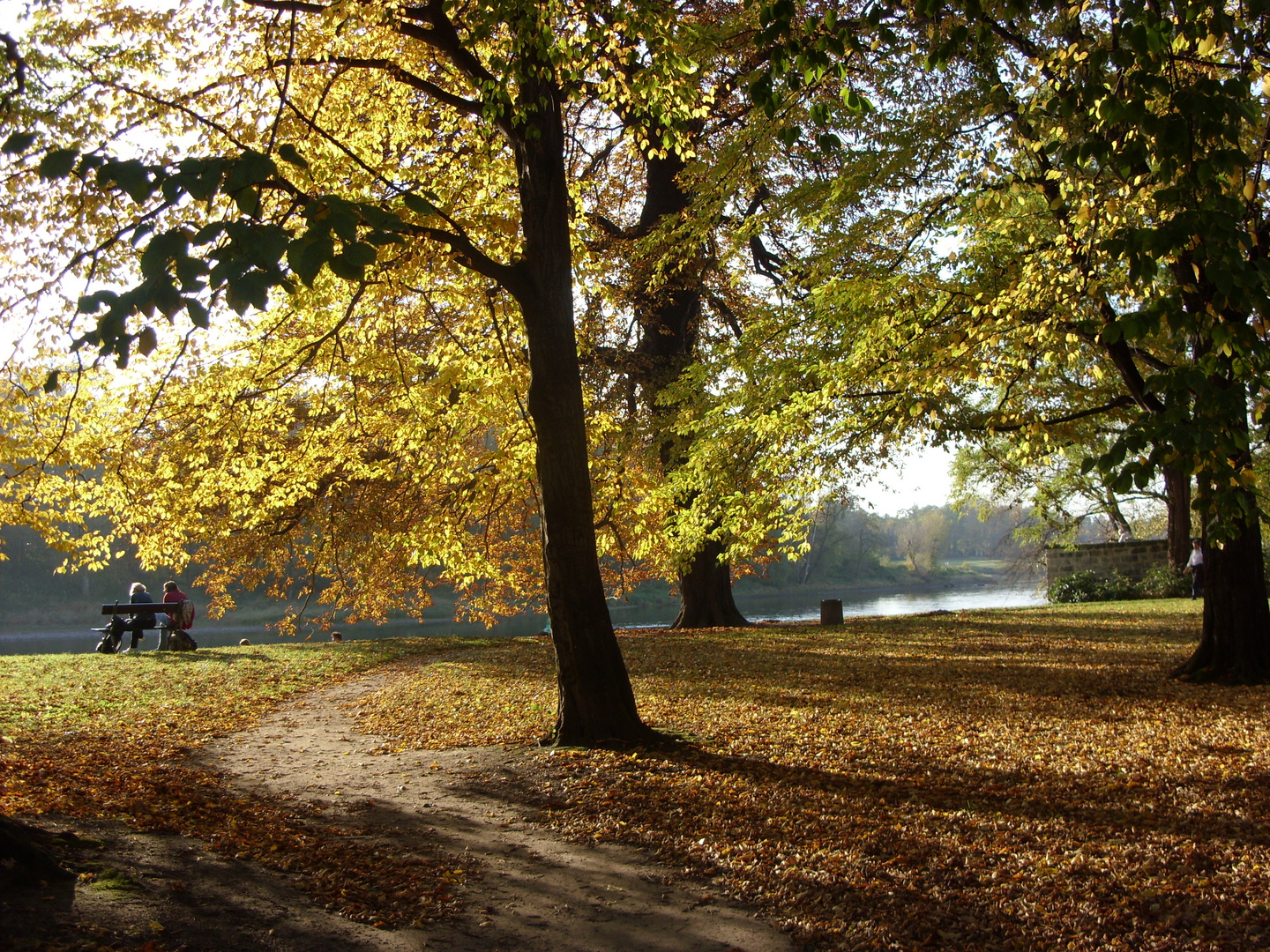 Herbst in Pillnitz