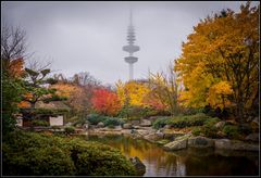 Herbst in Planten un Blomen