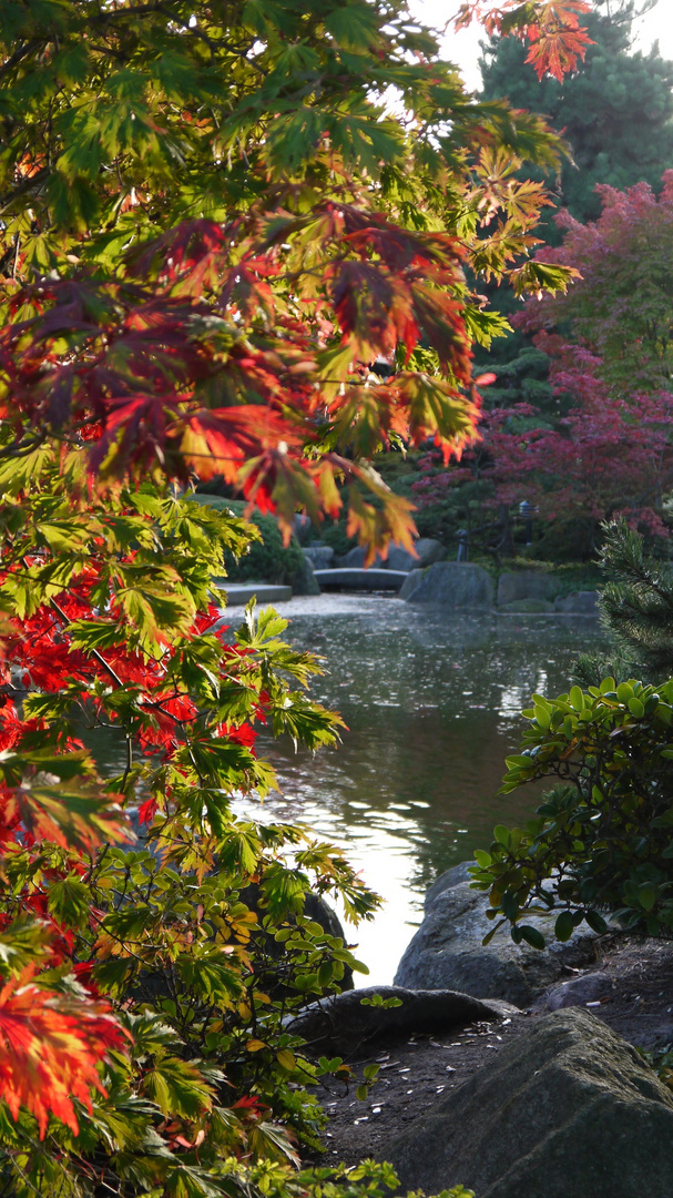 Herbst in Planten un Blomen in Hamburg