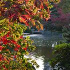 Herbst in Planten un Blomen in Hamburg