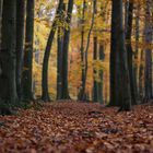 Herbst in Pödinghausen