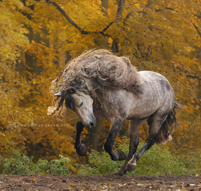 Herbst in Polen