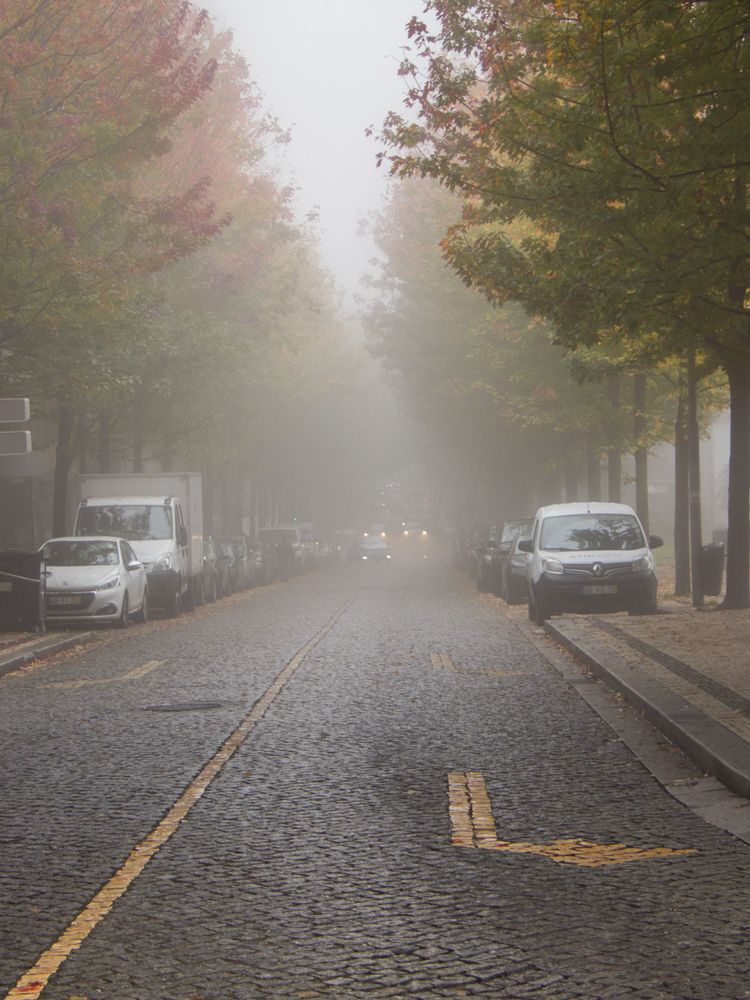 Herbst in Porto