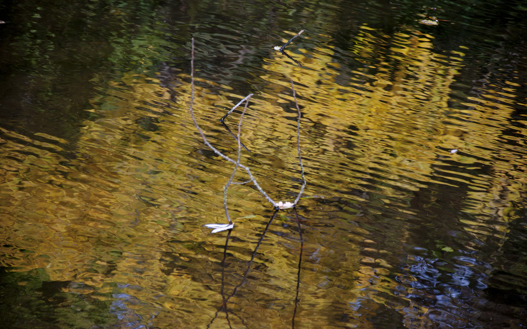 Herbst in Potsdam