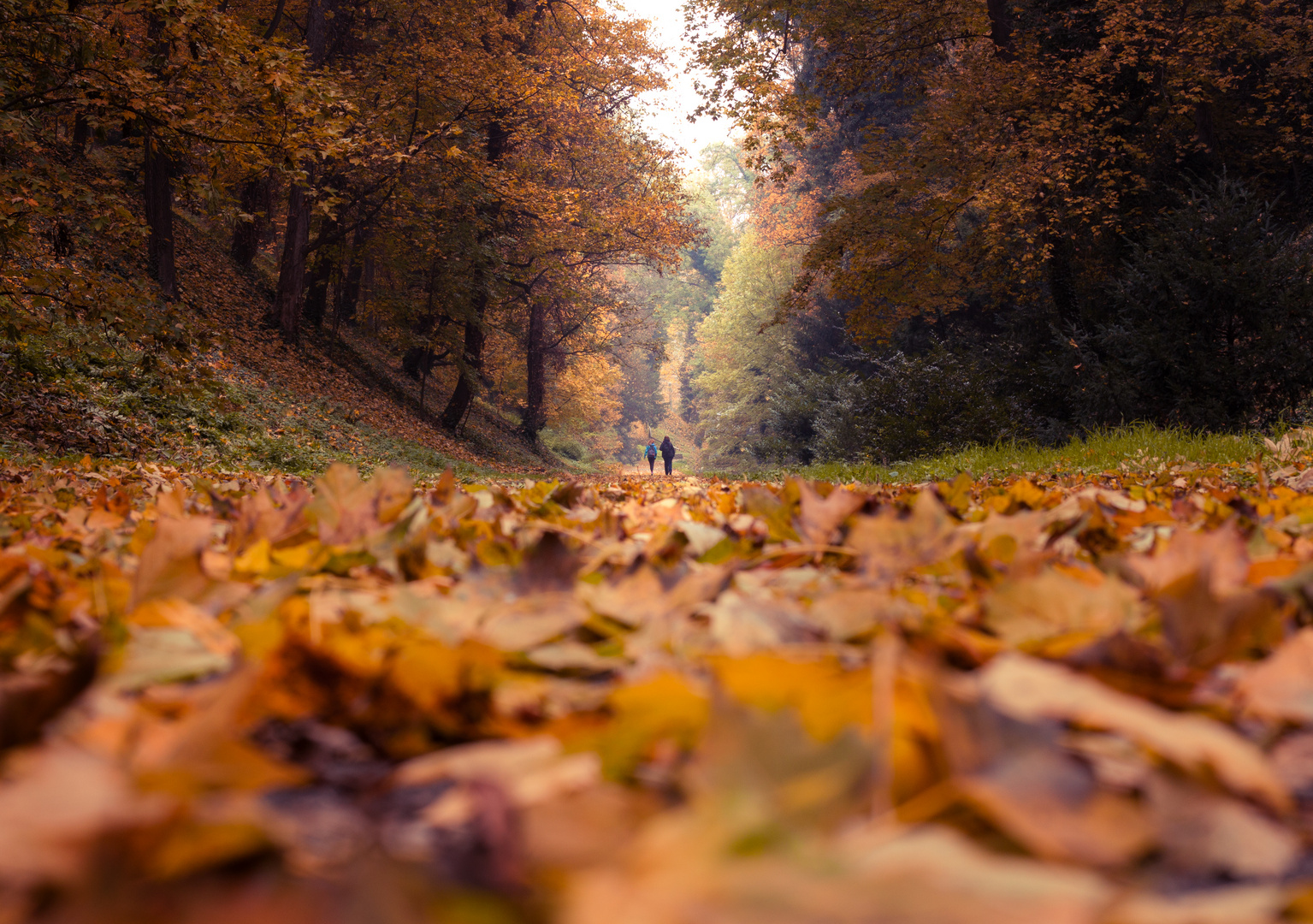 Herbst in Prag