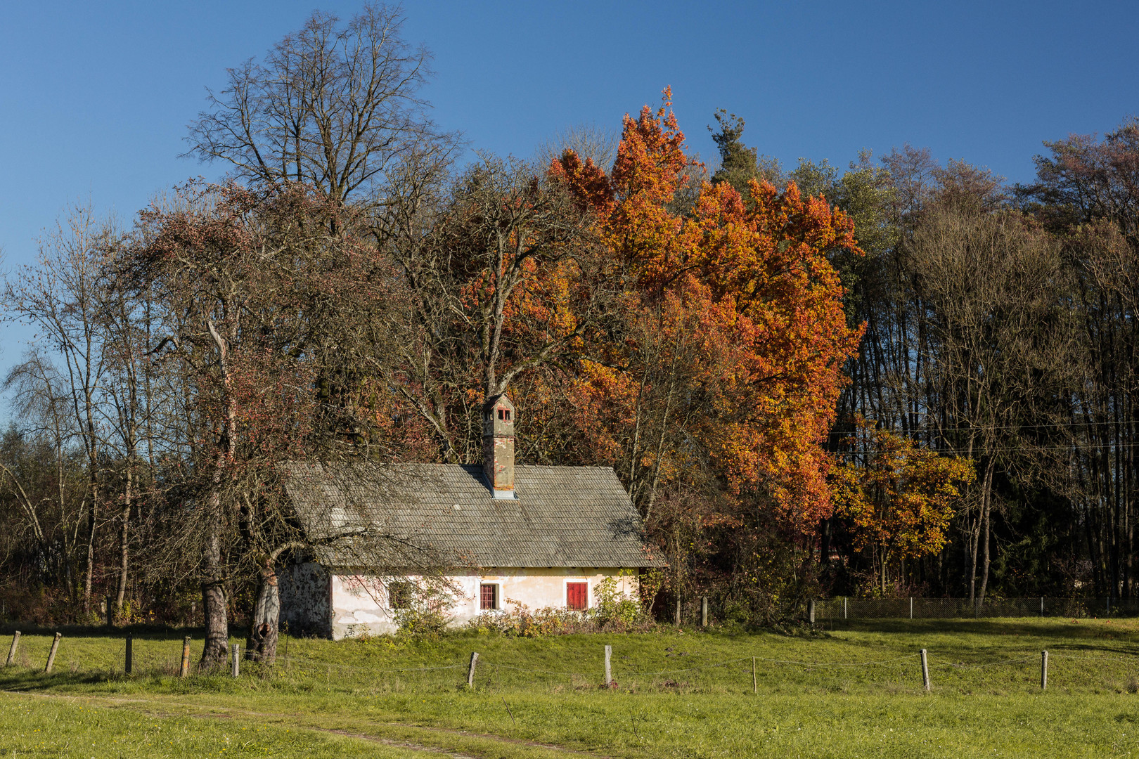 Herbst in Pubersdorf