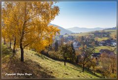 Herbst in Puderbach