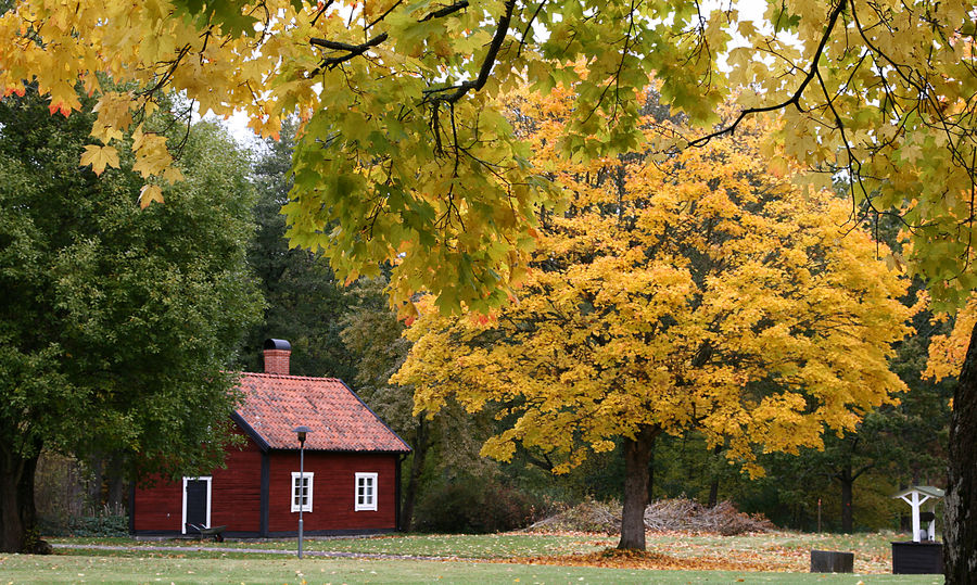 Herbst in Qvarnaslätt