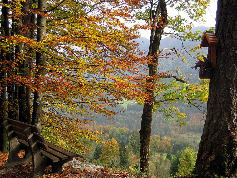 Herbst in Ramsau...