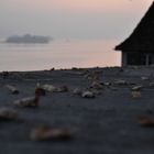 Herbst in Rapperswil