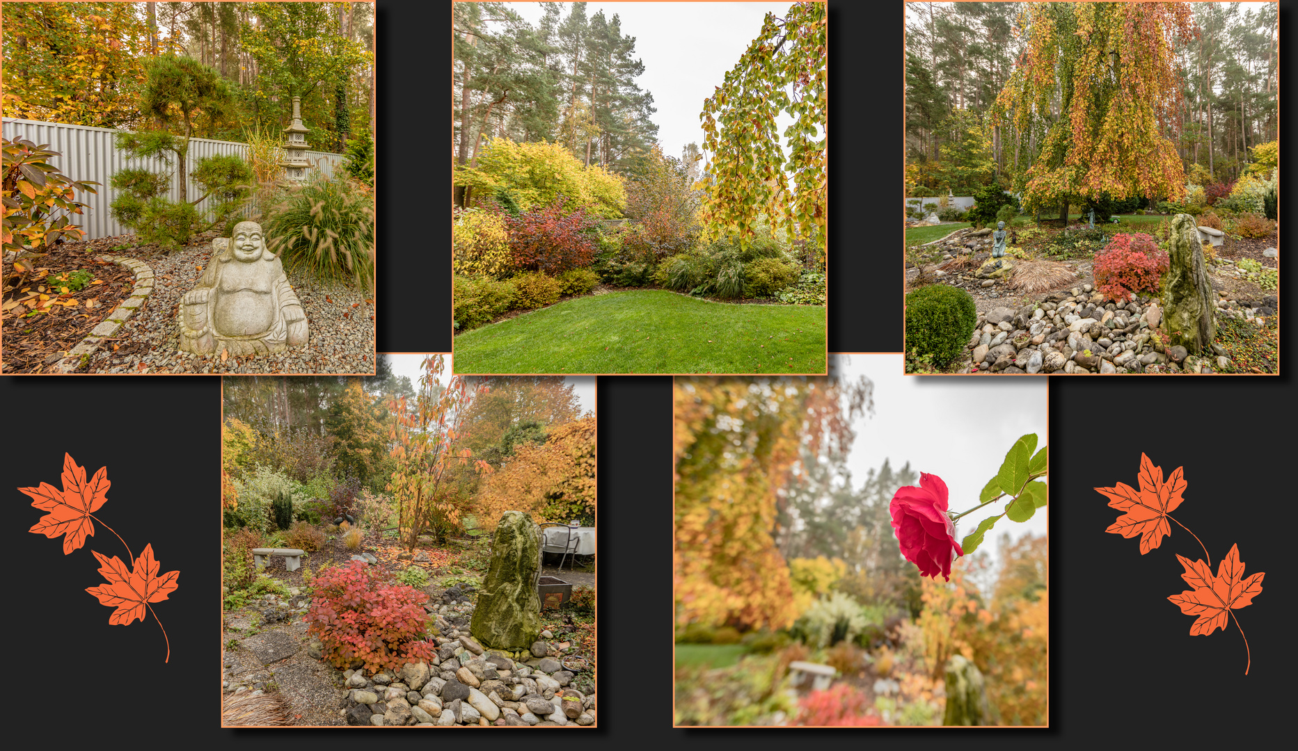 Herbst in Reinwalds Garten