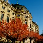 Herbst in Residenz Platz,Wuerzburg