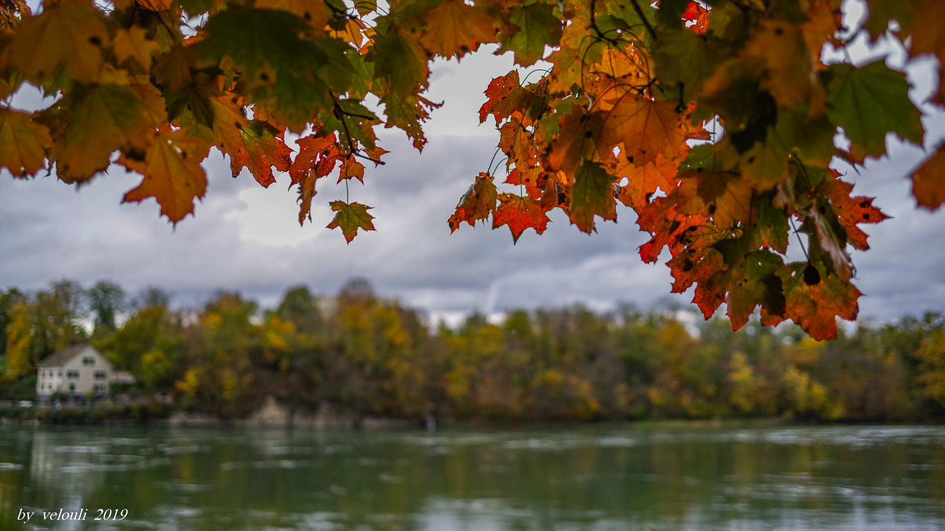 Herbst in Rheinfelden 2