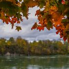 Herbst in Rheinfelden 2