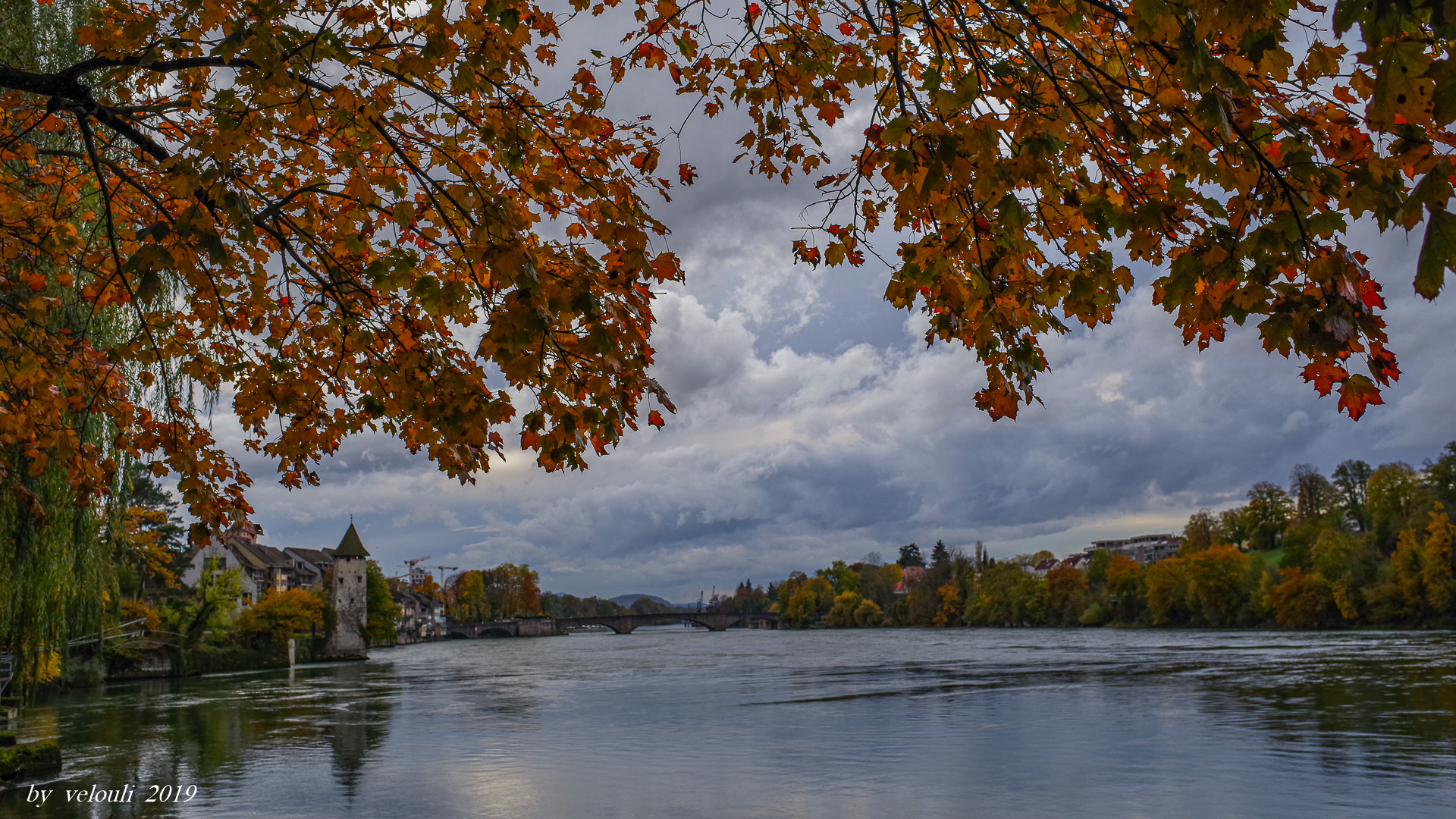 Herbst in Rheinfelden