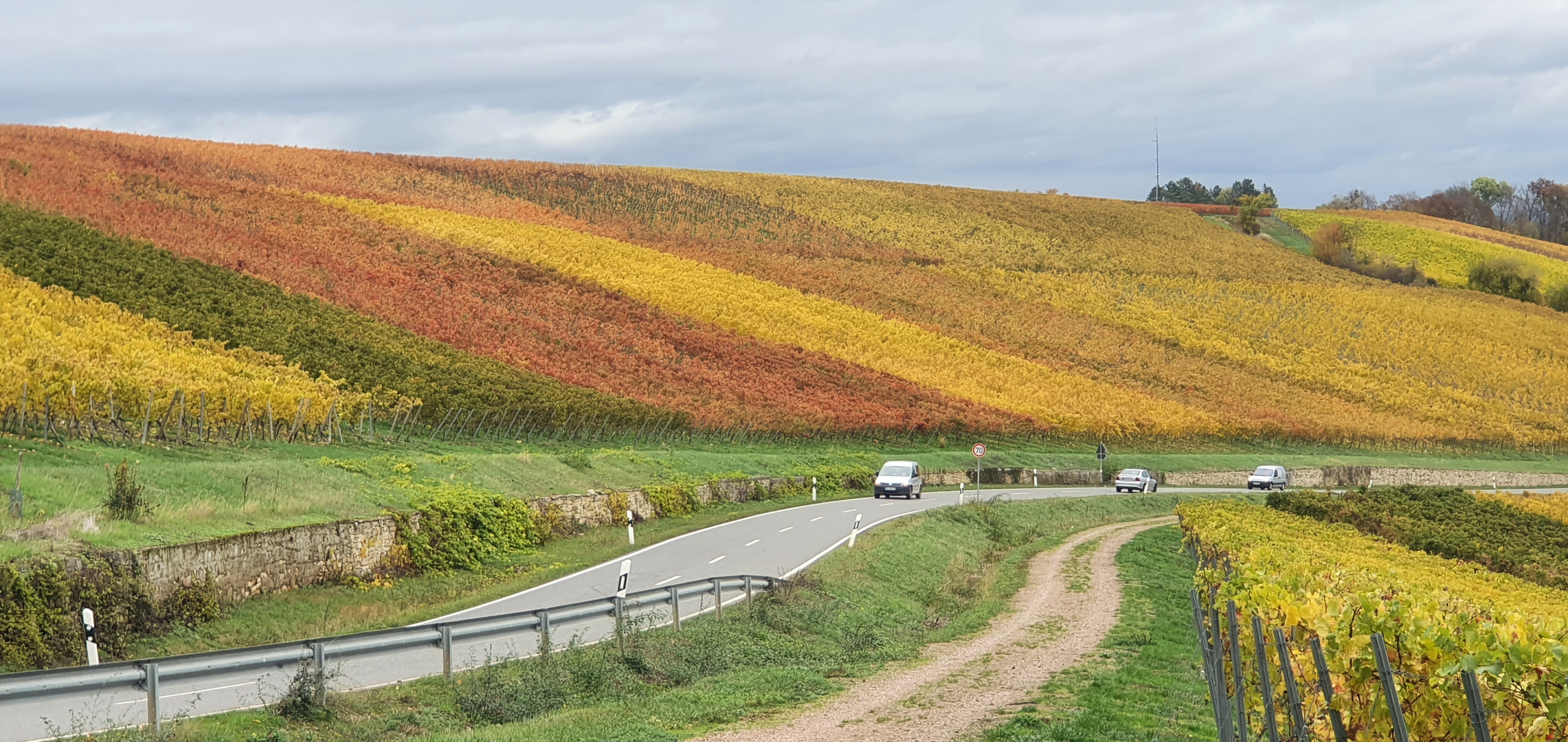 Herbst in Rheinhessen