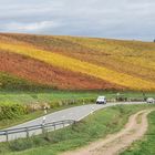 Herbst in Rheinhessen