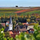 Herbst in Rheinhessen - I -