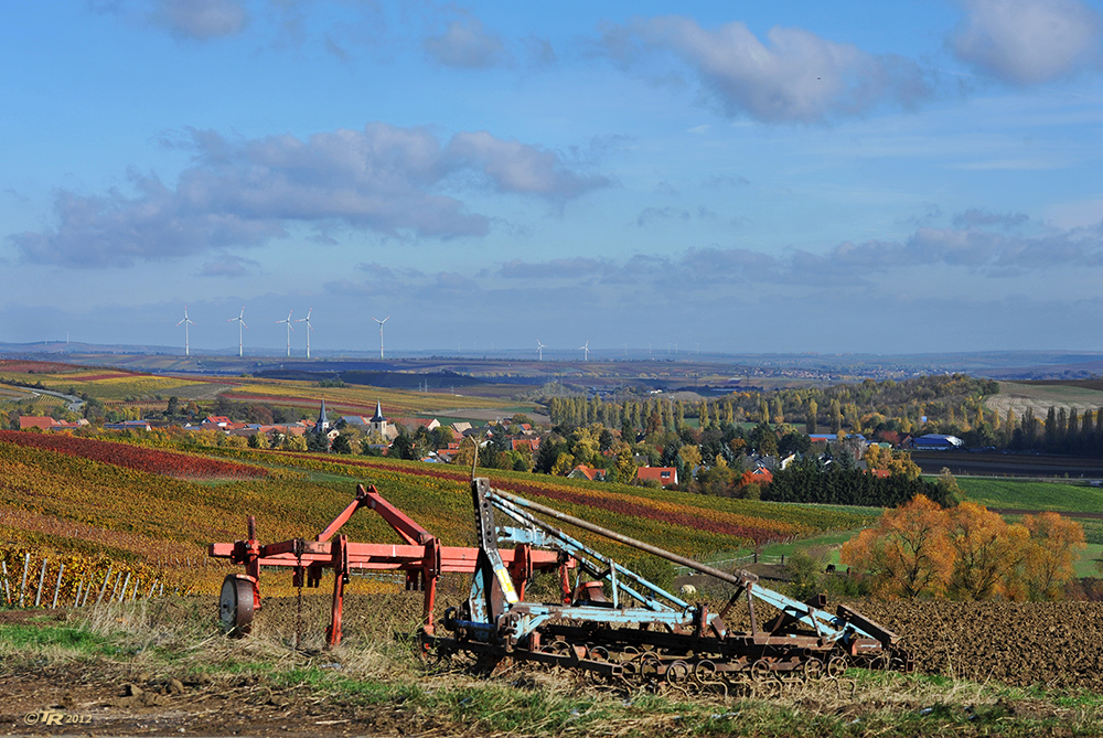 Herbst in Rheinhessen - VII -