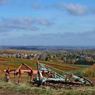 Herbst in Rheinhessen - VII -