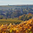 Herbst in Rheinhessen - VIII -