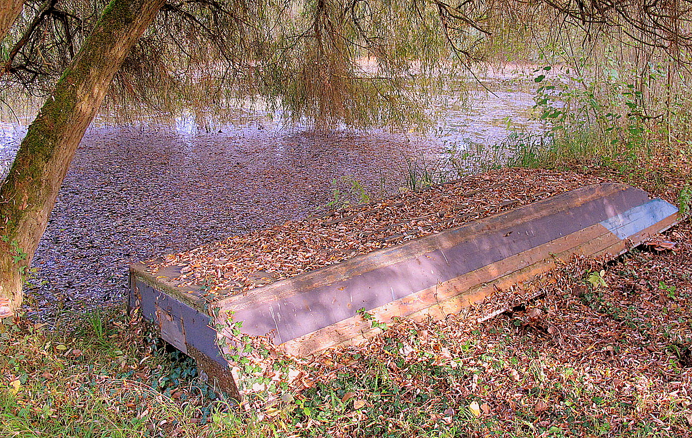 Herbst in Rheinnähe (2)