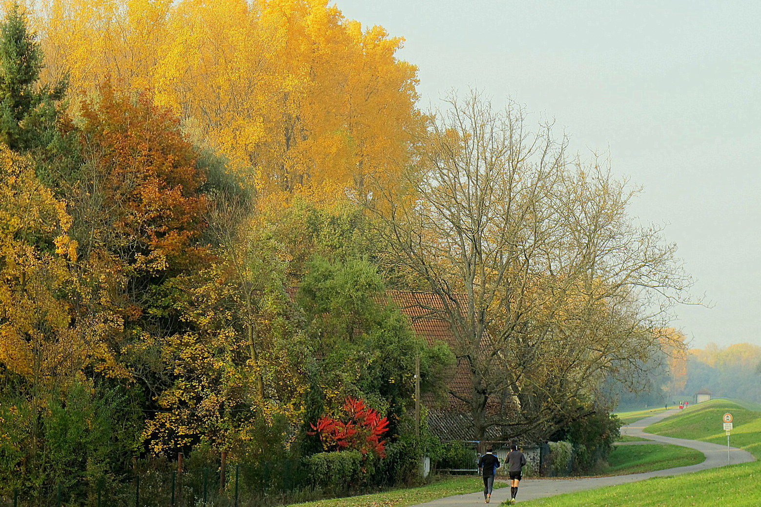 Herbst in Rheinnähe (3)