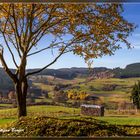 Herbst in Richstein