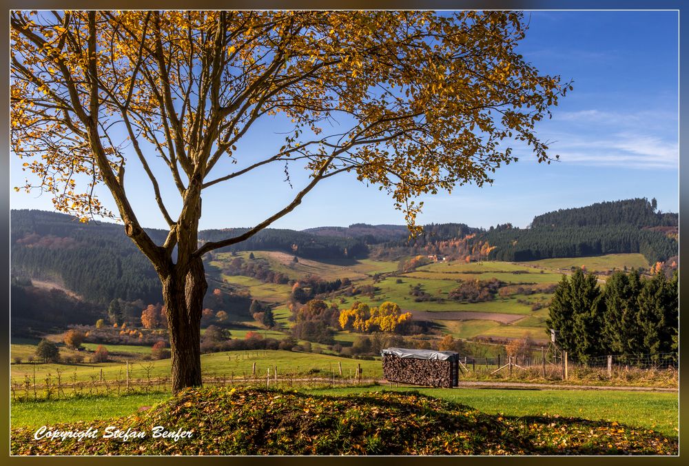 Herbst in Richstein