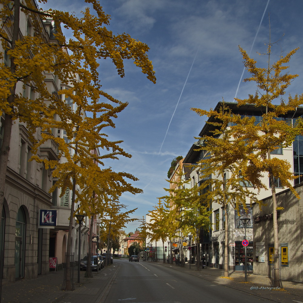 Herbst in Rosenheim