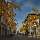 Herbst in Rosenheim