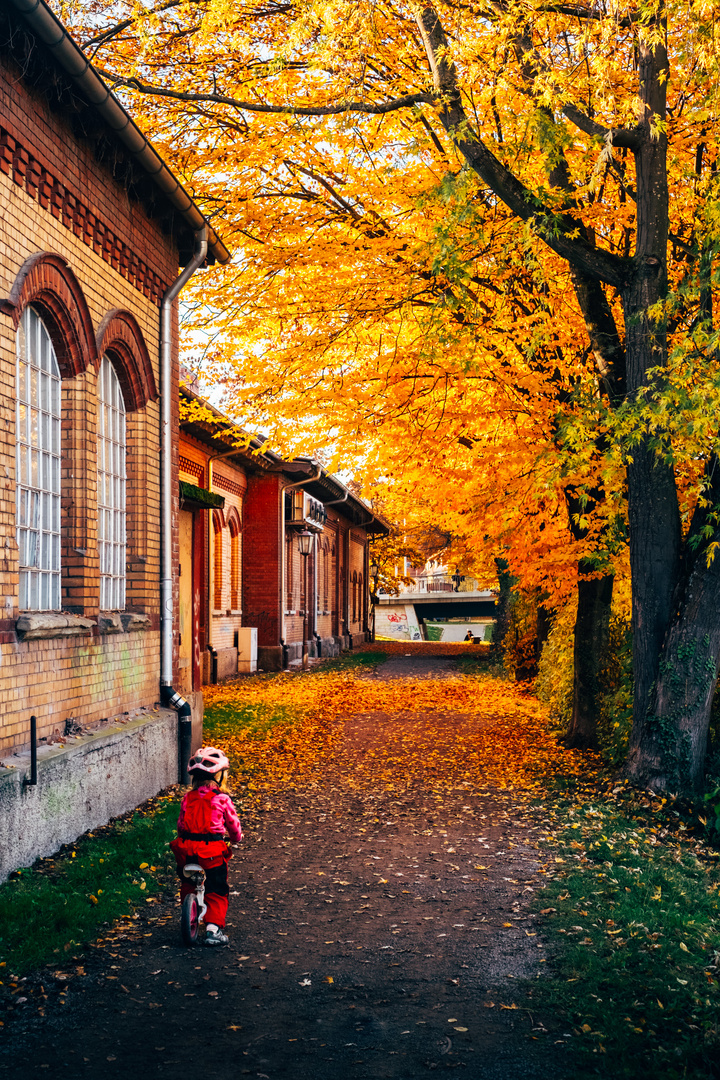 Herbst in Rottenburg am Neckar