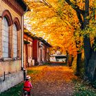 Herbst in Rottenburg am Neckar