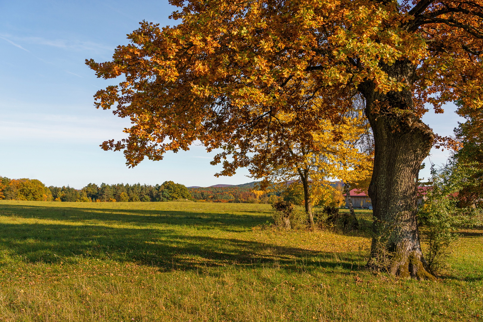 Herbst in Rüblanden