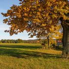 Herbst in Rüblanden