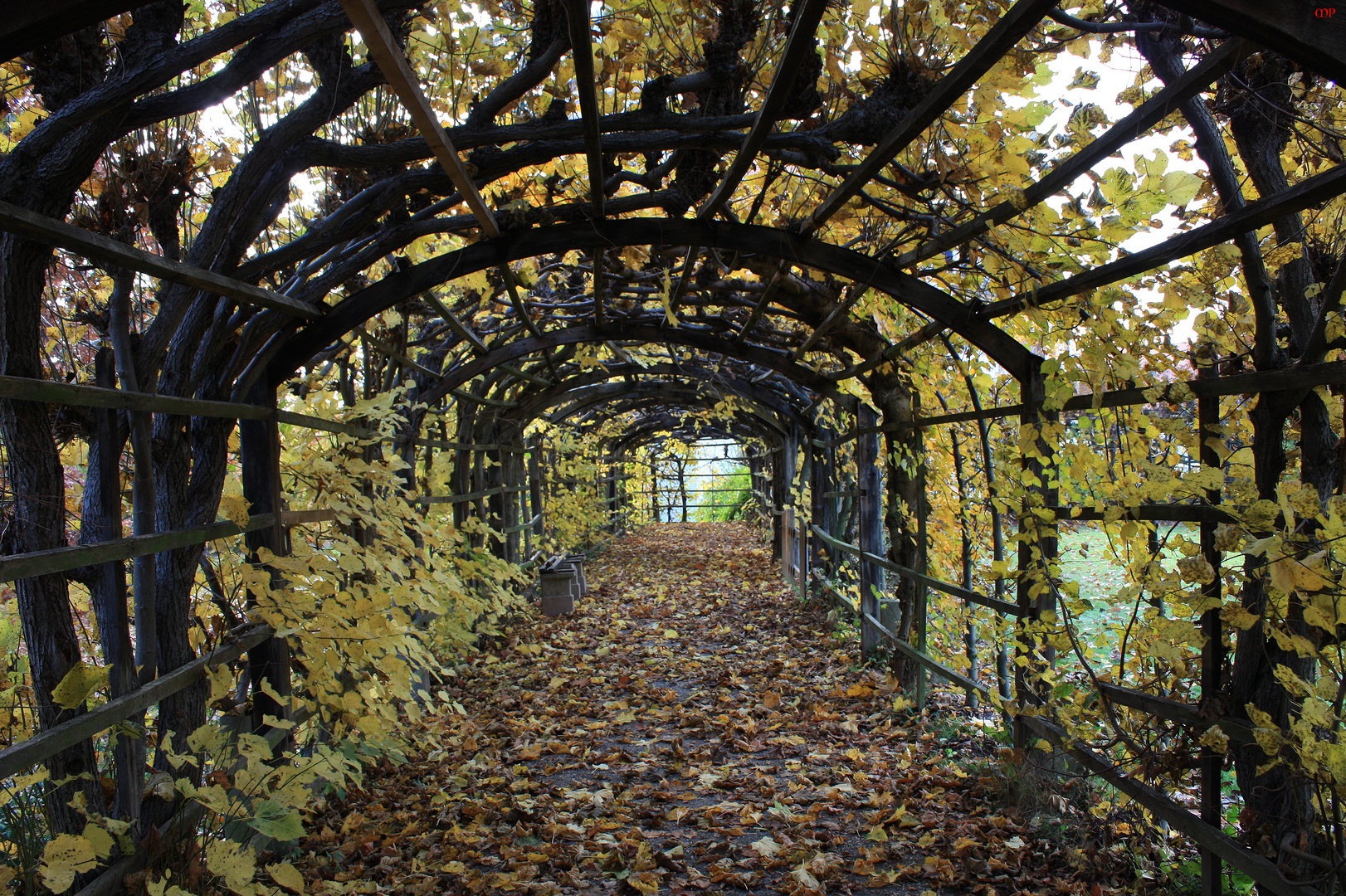 Herbst in Rundgang