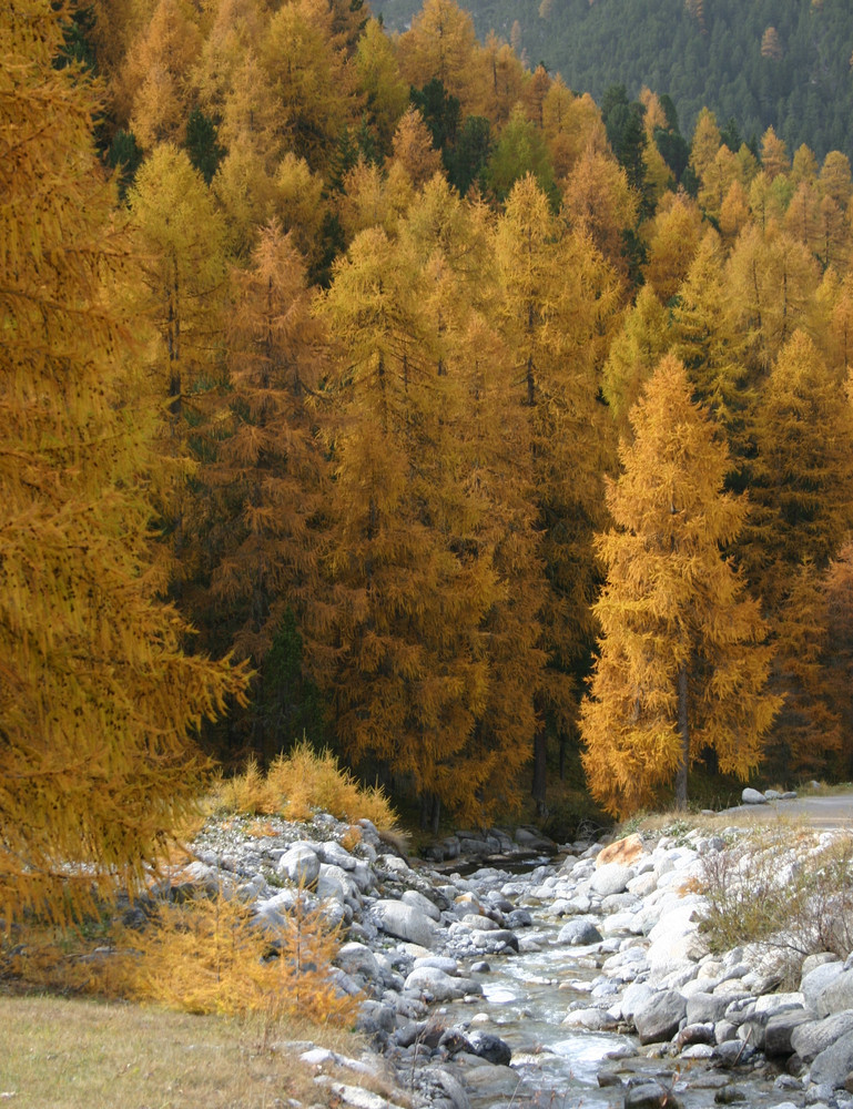 Herbst in S-charl im Engadin