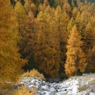 Herbst in S-charl im Engadin