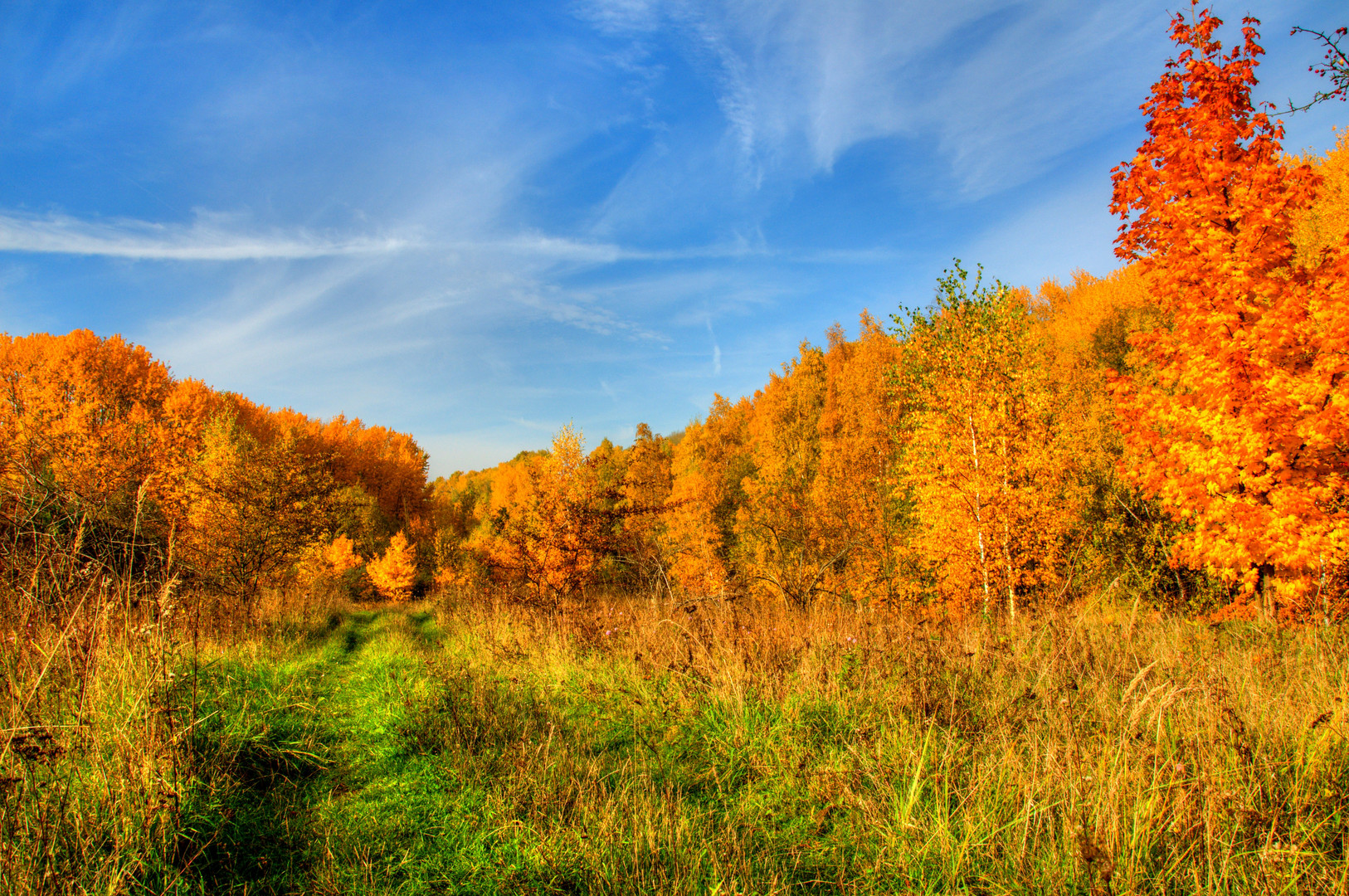 Herbst in Sachsen Anhalt