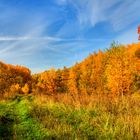 Herbst in Sachsen Anhalt