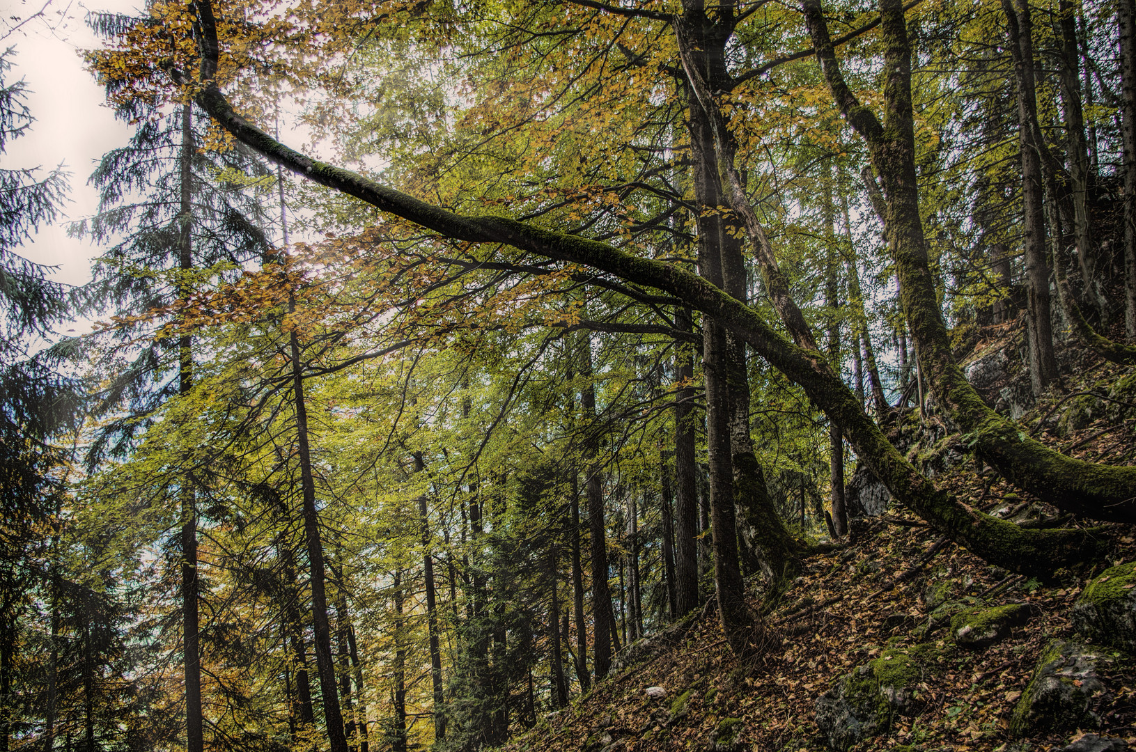 Herbst in Salzburg